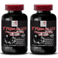 extracto de tribulus para energía