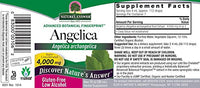 extracto líquido de angélica natural
