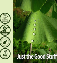 Extracto líquido de Ginkgo Biloba eficaz