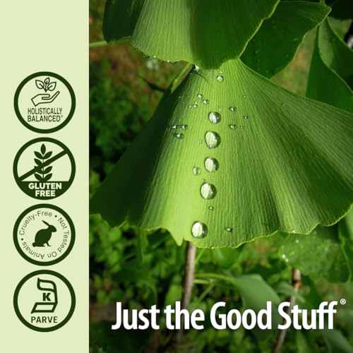 Extracto líquido de Ginkgo Biloba eficaz