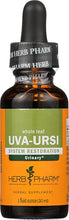 extracto líquido de uva ursi