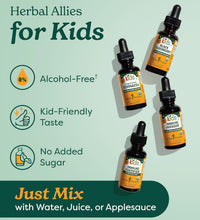 Fórmulas inmunes para niños Herb Pharm