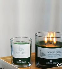 fragancia a pino ideal para ambientes
