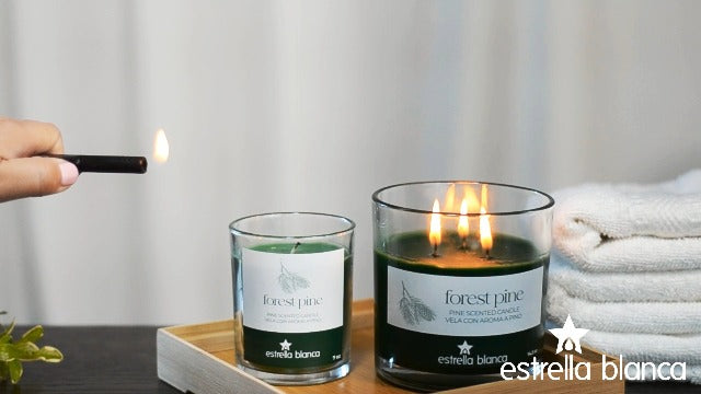 fragancia a pino ideal para ambientes