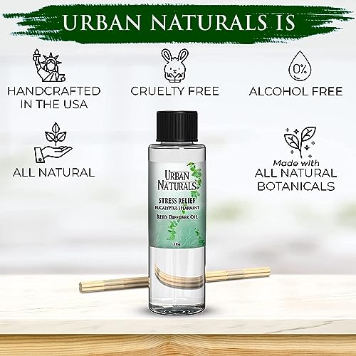 fragancia fresca eucalipto y menta