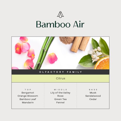 fragancia fresca y natural bamboo