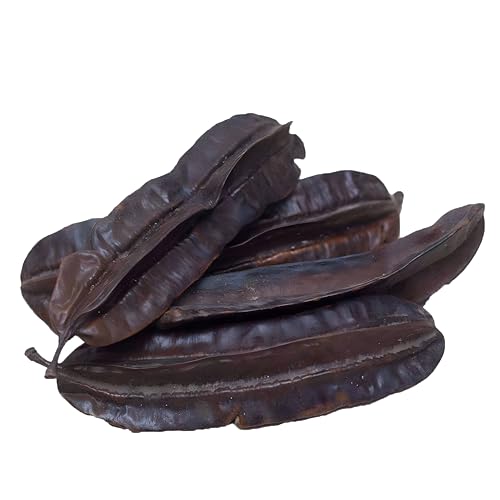 Fruta seca orgánica de Ghana