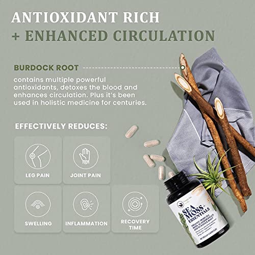 Fucus para la salud digestiva