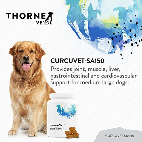 galletas blandas para salud canina
