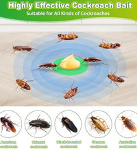 gel insecticida sin desorden