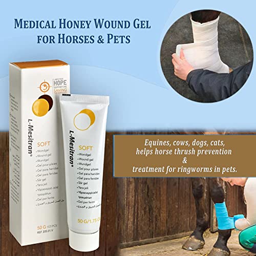 gel L-Mesitran para puntos calientes