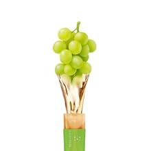 gelatina de colágeno para una piel saludable
