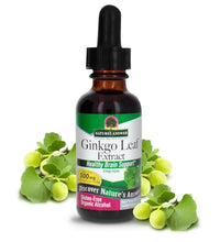 Ginkgo Biloba orgánico para la salud