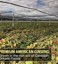 Ginseng AKI para energía y vitalidad