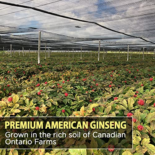 Ginseng AKI para energía y vitalidad