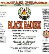 glicerita de rábano negro sin alcohol