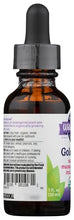 goldenseal para la salud digestiva
