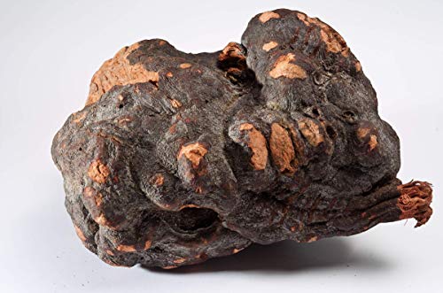 Gotas de Dragon Herbs para bienestar