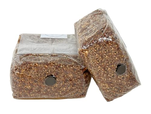Granos esterilizados para cultivo de hongos