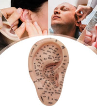 guía completa de acupuntura incluida