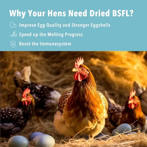 Gusanos ideales para gallinas y jilgueros