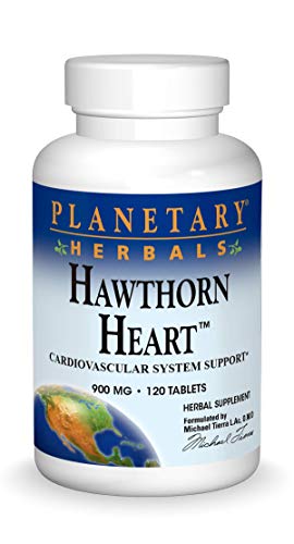 Hawthorn para la salud del corazón