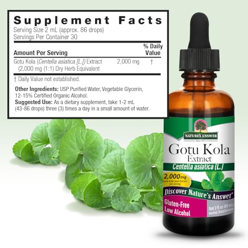 hierba gotu-kola para energía