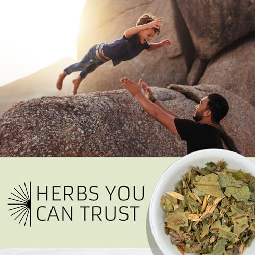 Hierbas naturales para fortalecer tu salud