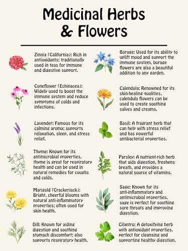 hierbas no-OGM para tu jardín
