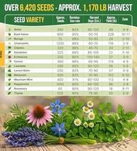 hierbas para infusiones saludables