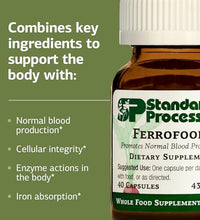 Hierro Standard Process para salud óptima