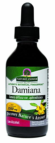 Hoja de Damiana para bienestar natural