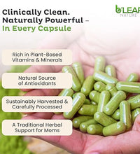 Hoja de moringa en cápsulas naturales