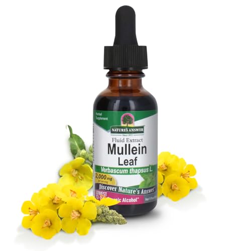 hoja de mullein orgánica para salud