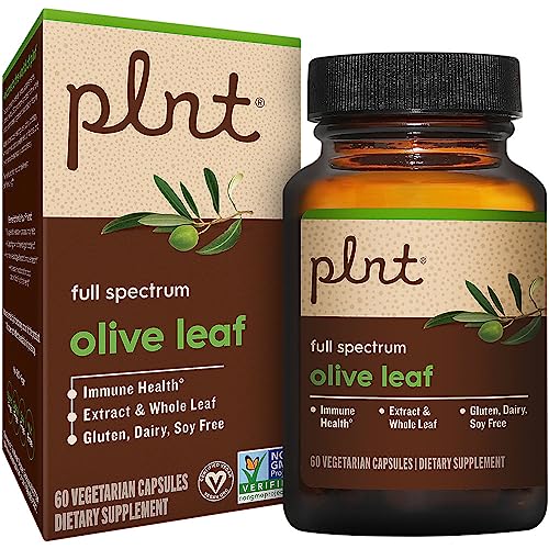 hoja de olivo para salud inmunológica