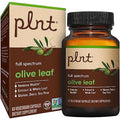 hoja de olivo para salud inmunológica