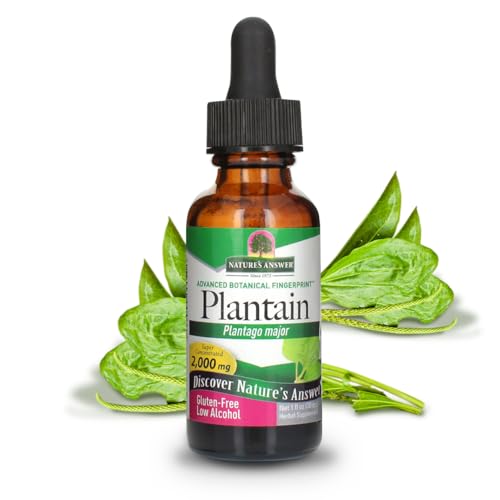 Hoja de plátano orgánica para salud