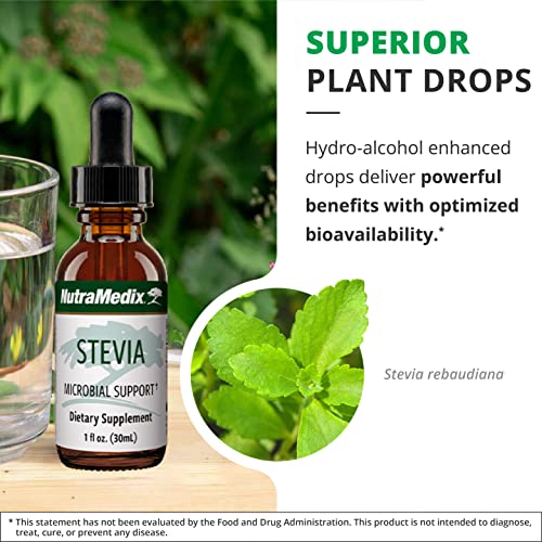 hoja de stevia bioavailable para bienestar