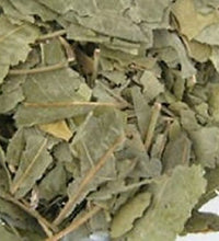 Hojas de Bael Patra para bienestar