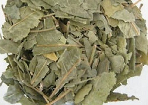 Hojas de Bael Patra para bienestar