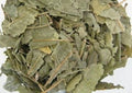 Hojas de Bael Patra para bienestar
