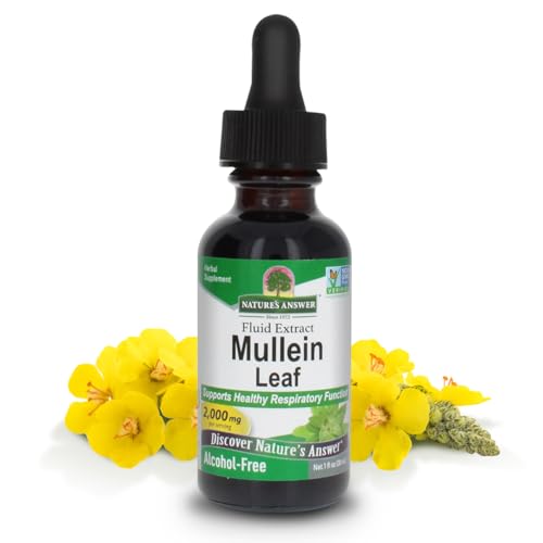 Hojas de Mullein para respiración saludable