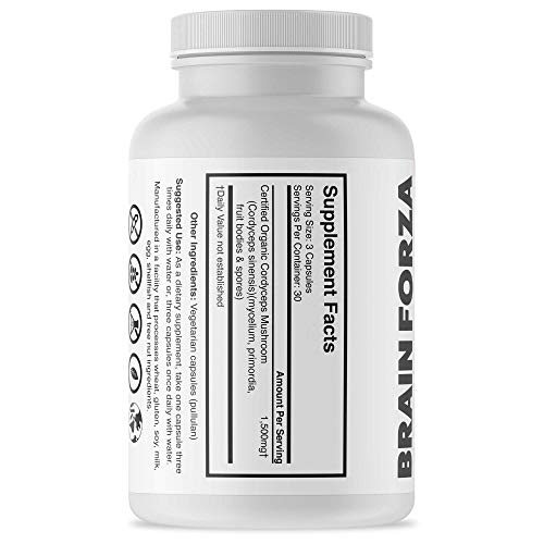 hongo cordyceps sinensis vegano y orgánico