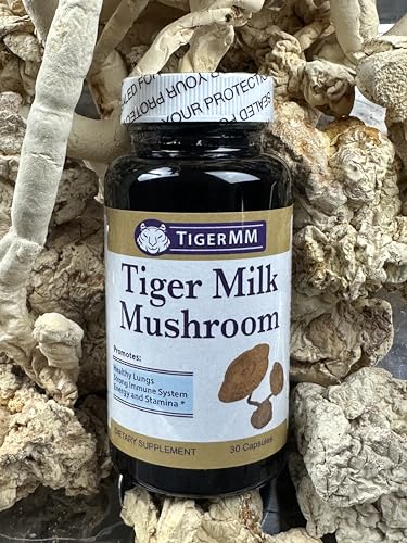Hongo Leche Tigre para fortalecer pulmones