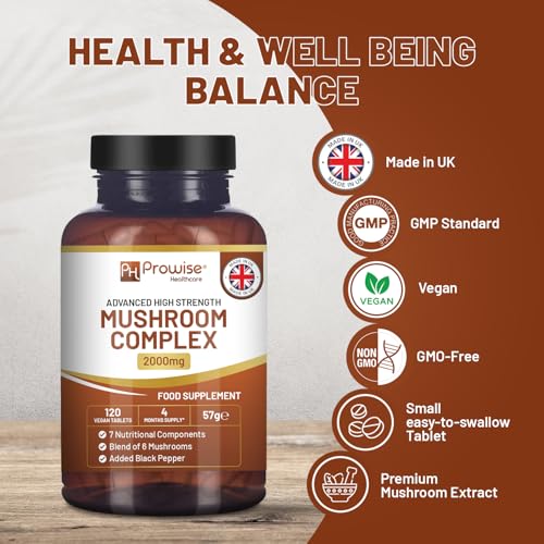 hongos medicinales para salud natural