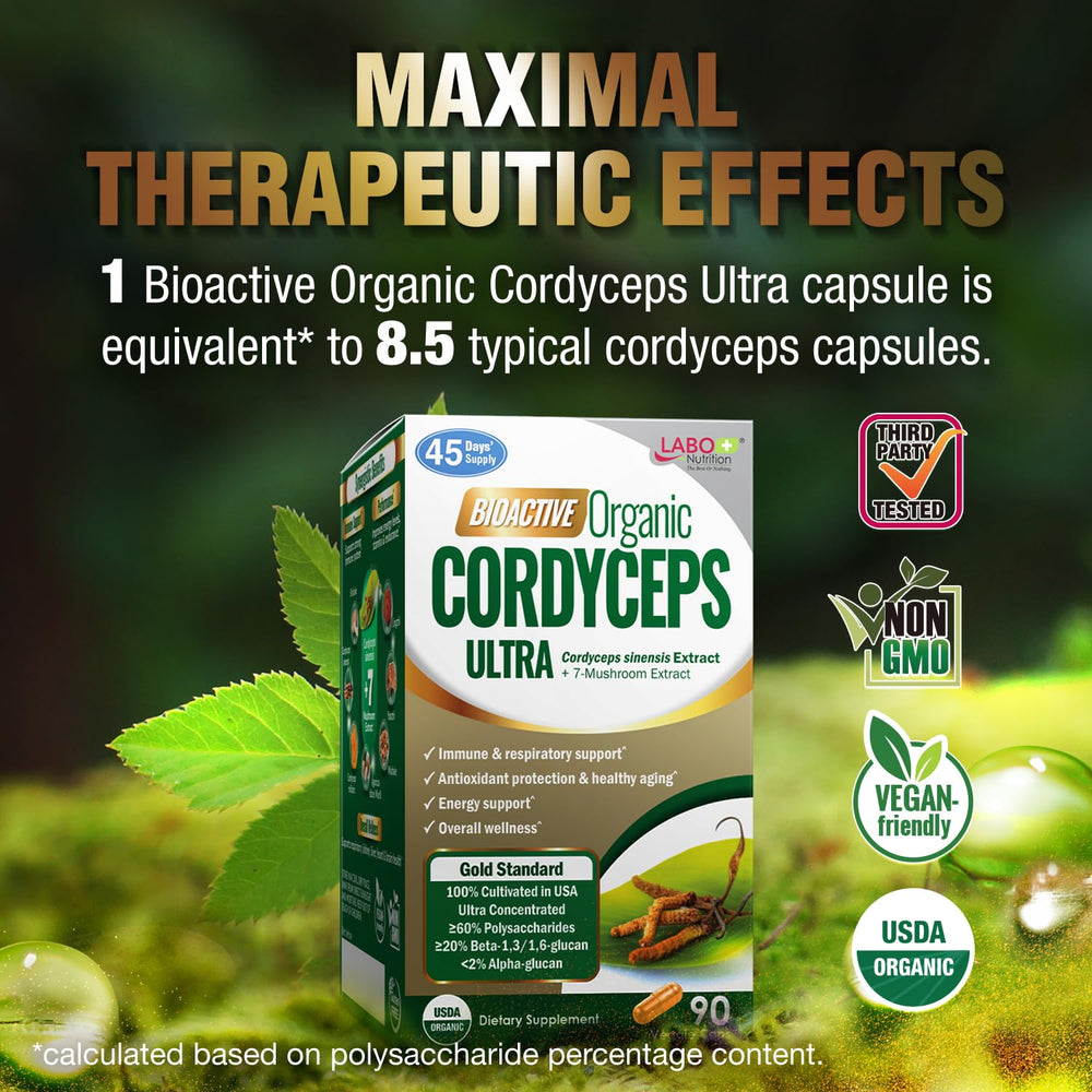 Hongos y adaptógenos Cordyceps