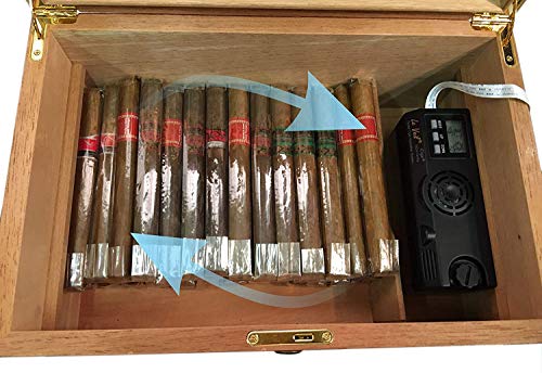humedad perfecta para cigarros