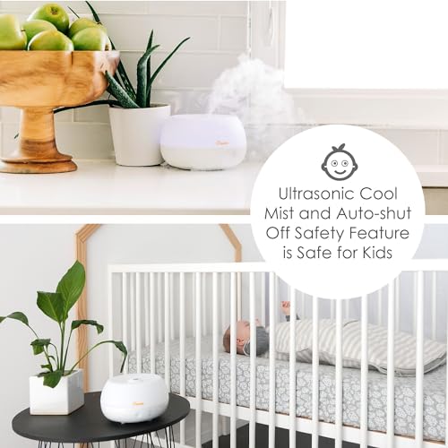 humidificador Crane fácil de usar