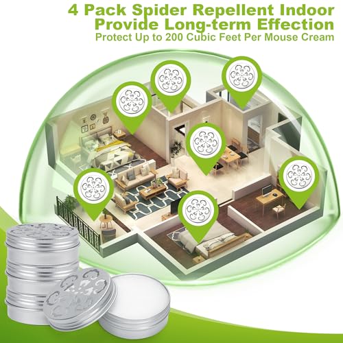 Ingredientes naturales para tu hogar
