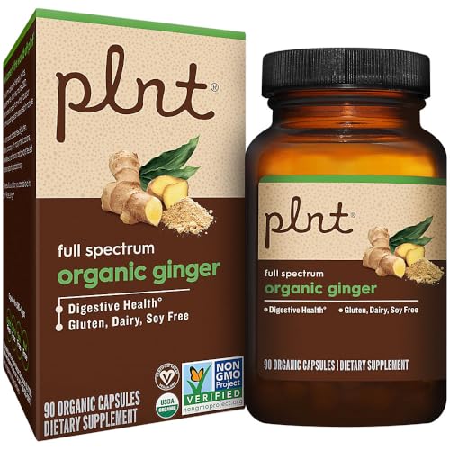 jengibre orgánico para digestión saludable